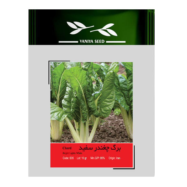 بذر برگ چغندر سفید وانیا سید کد S35