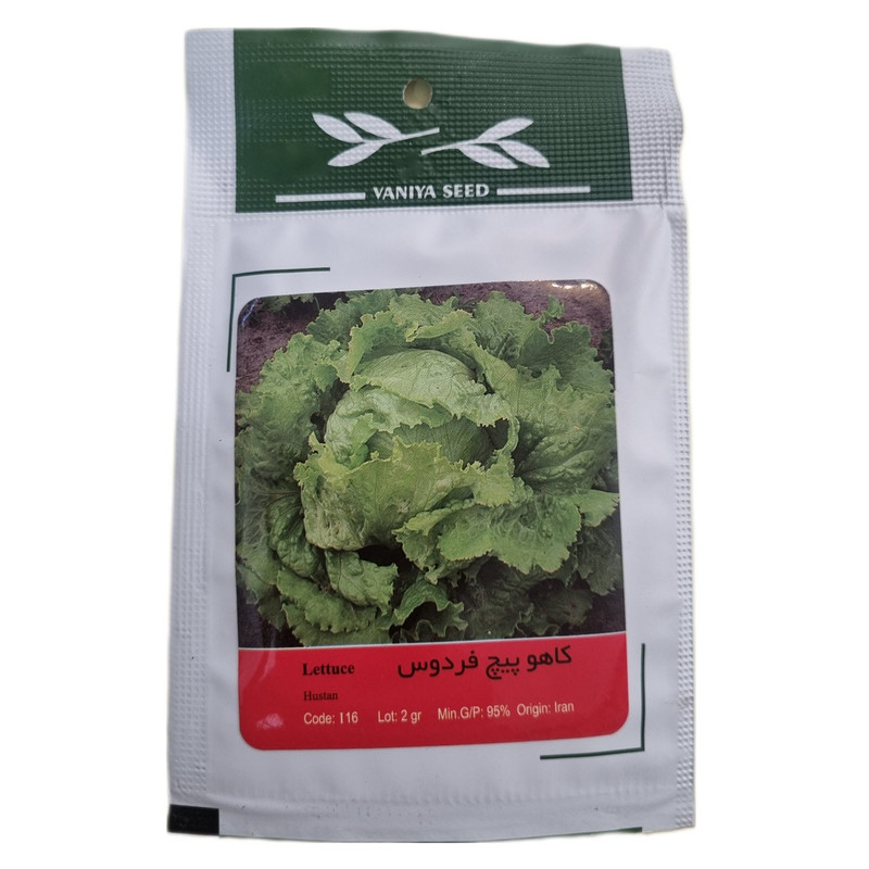 بذر کاهو پیچ فردوس وانیا سید مدل BS2596