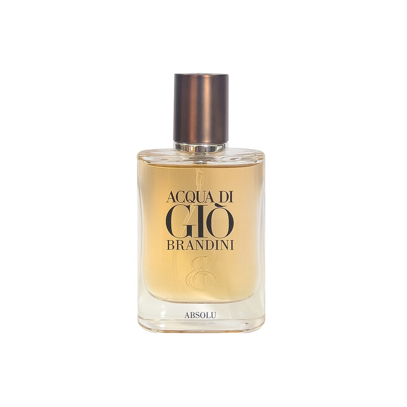 عطر جیبی مردانه برندینی مدل Absolu حجم 33 میلی لیتر